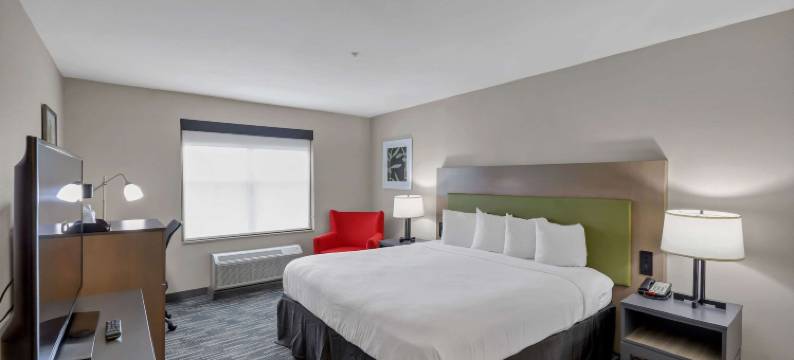 布拉塞尔顿丽怡酒店(Country Inn & Suites by Radisson, Braselton, GA)图片