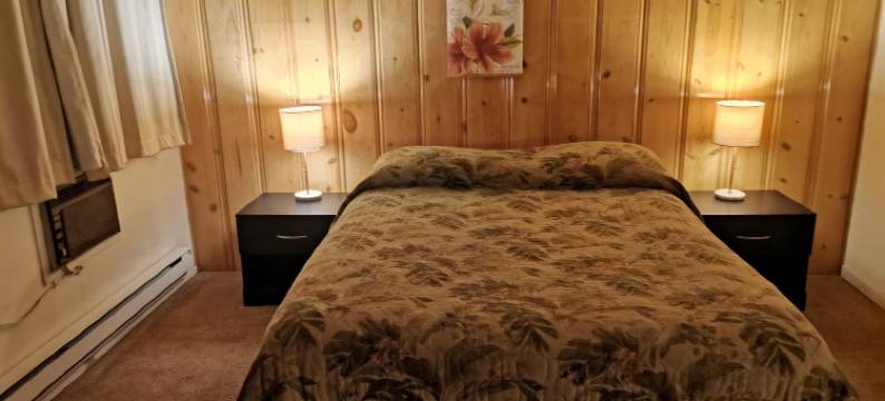 雪松汽车旅馆(Cedars Motel)图片