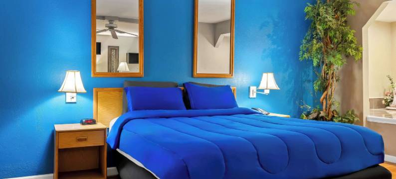 丹维尔招牌旅馆(Americas Best Value Inn Danville)图片