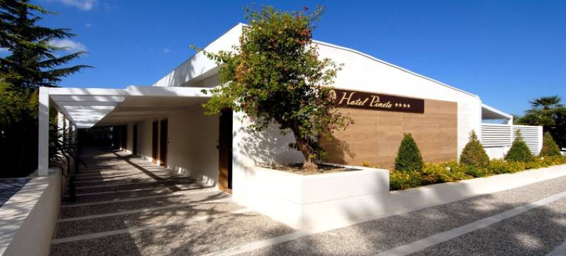皮尼塔健康温泉酒店(Hotel Pineta Wellness & Spa)图片