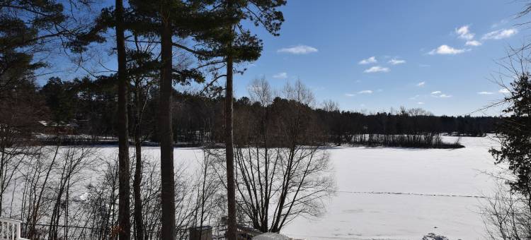 湖畔民宿(Lakeside Bed & Breakfast)图片