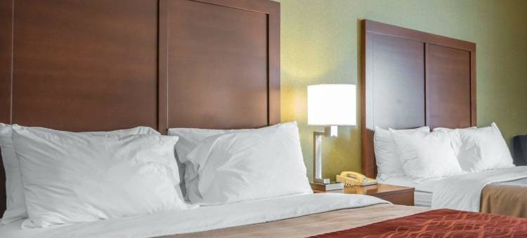 舒适酒店(Comfort Inn)图片