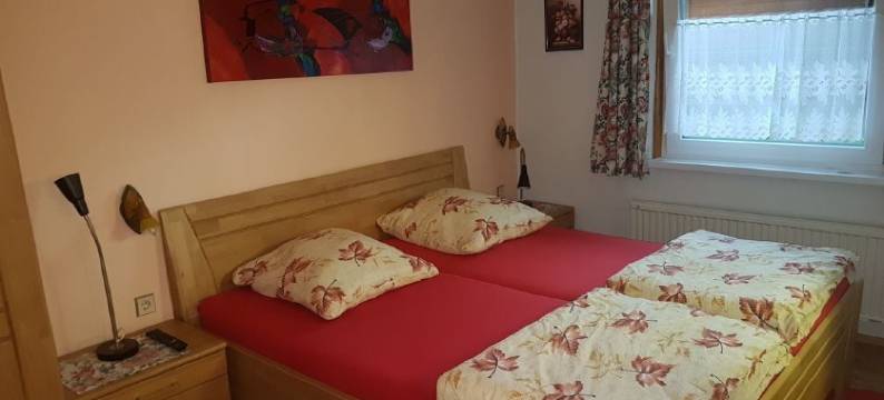 罗尔莫瑟之家旅馆(Pension Haus Rohrmoser)图片