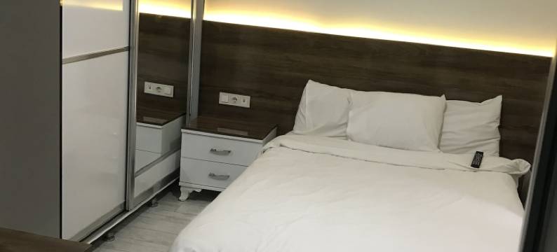 大西洋安卡拉酒店(Ankara Atlantik Otel)图片