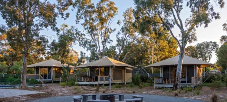 发现公园 - 巴罗萨谷(Discovery Parks - Barossa Valley)图片