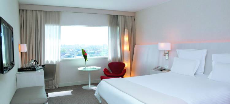 罗萨里奥市中心铂尔曼酒店(Pullman Rosario City Center)图片