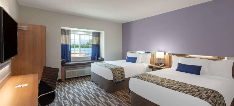 克利奇站麦客达温德姆套房酒店(Microtel Inn & Suites by Wyndham College Station)图片