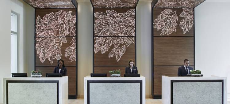 西棕榈滩希尔顿酒店(Hilton West Palm Beach)图片