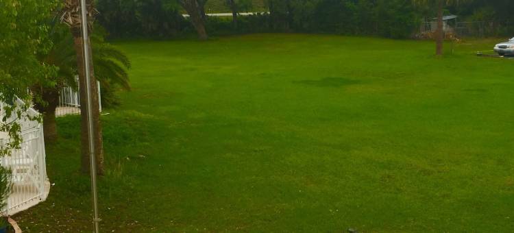 罗德威旅馆(Rodeway Inn)图片