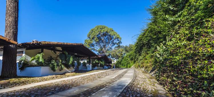 阿瓦达罗高尔夫及Spa度假酒店(Hotel Avandaro Golf & Spa Resort)图片