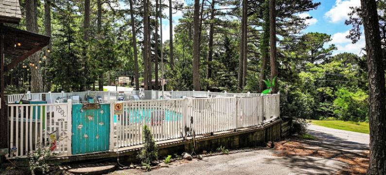 高松林旅馆(Tall Pines Inn)图片