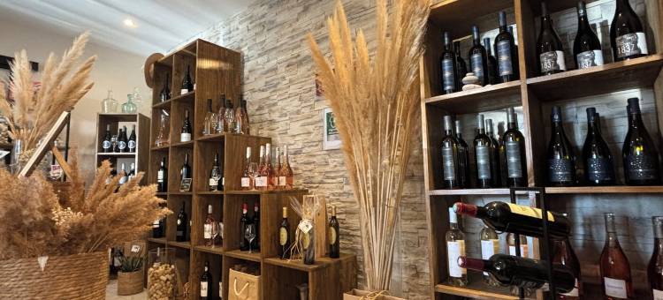 欧瑞维尼斯酒店(A l'Orée des Vignes)图片