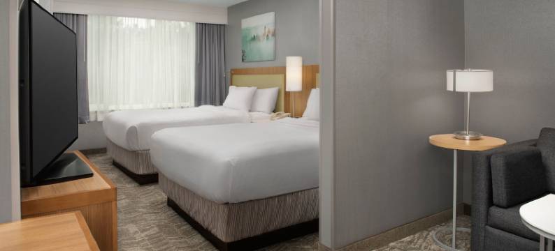 博伊西ParkCenter SpringHill Suites酒店(SpringHill Suites Boise ParkCenter)图片