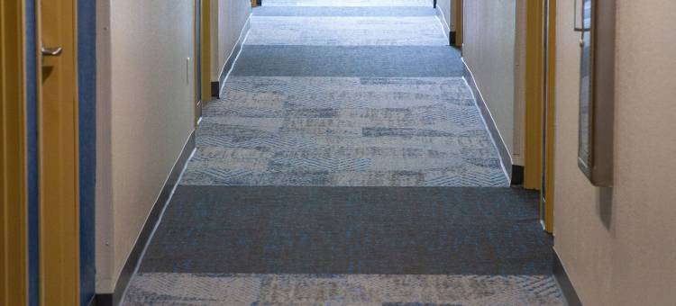 瑟西温德姆麦客达套房酒店(Microtel Inn & Suites by Wyndham Searcy)图片