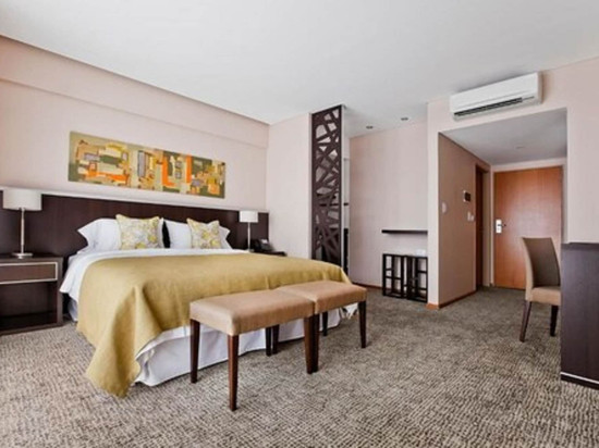 布宜诺斯艾利斯孔客酒店