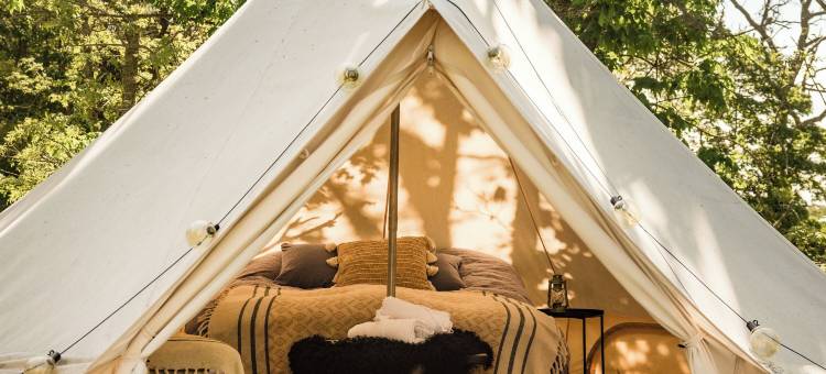 西盖斯达嘉德酒店(Siggesta Gård)图片