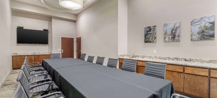 舒适套房酒店(Comfort Inn & Suites Valdosta)图片