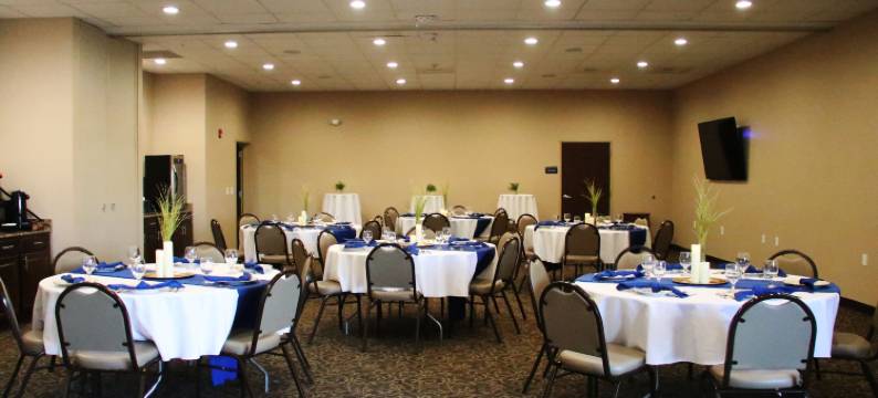 鹅卵石套房酒店-麦迪逊堡(Cobblestone Inn & Suites Fort Madison)图片