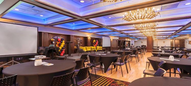 皇宫酒店(Hôtel Palace Royal)图片