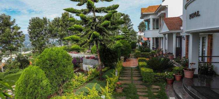 双树酒店(Twin Tree)图片