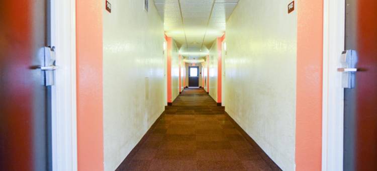 奥尔巴尼6号汽车旅馆(Motel 6 Albany, NY)图片