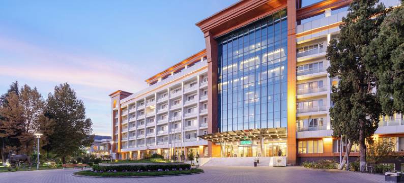 纳夫塔兰梧桐健康酒店(Chinar Health Hotel Naftalan)图片