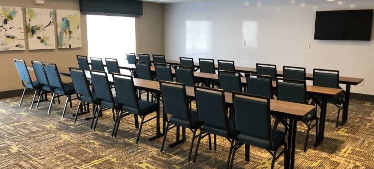 佩金-皮奥里亚区欢朋套房酒店(Hampton Inn & Suites Pekin Peoria Area)图片