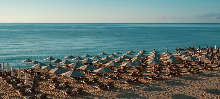 GRIFID Noa - 高级超全包(Grifid Noa)图片