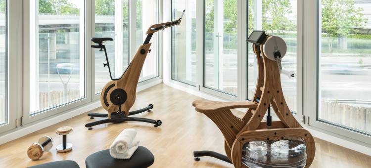 洲际酒店集团旗下的兰斯韦斯勒河畔智选假日酒店(Holiday Inn Express & Suites REIMS - RIVES DE VESLE by IHG)图片