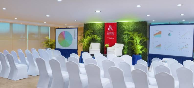 希达德大卫酒店(Hotel Ciudad de David)图片