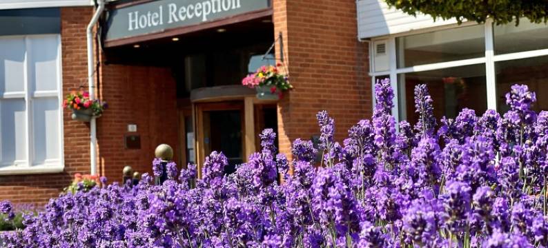 奥威尔酒店(The Orwell Hotel)图片