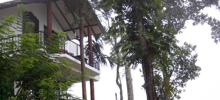 山林小屋(Hill Forest Cottage)图片