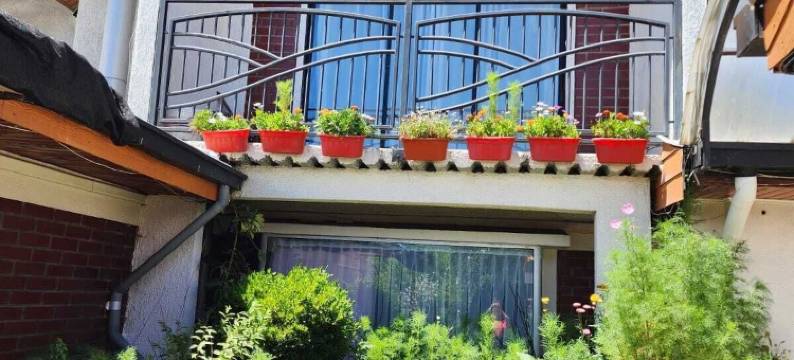 舒延旅馆(Hospedaje Shuyen)图片