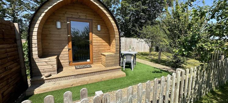 豪华露营馆带热水浴缸，收费适用(Luxury Glamping Pod with Hot Tub Fee Applies)图片