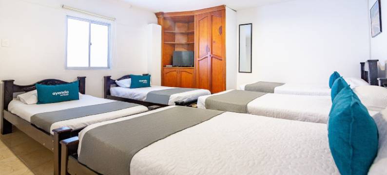 Ayenda兰花19(Ayenda Orquidea 19)图片