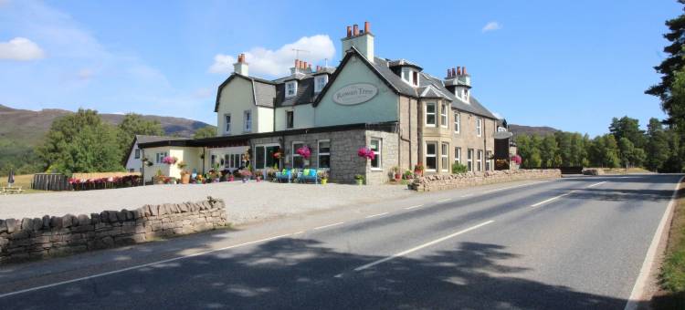 罗文树乡村酒店(The Rowan Tree Country Hotel)图片