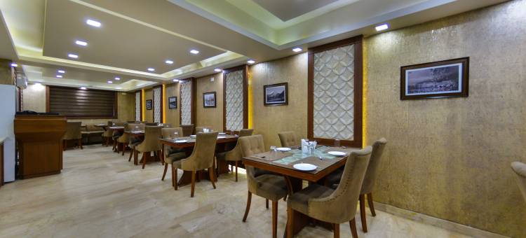 斯里纳格克拉克斯旅馆(Clarks Inn Srinagar)图片