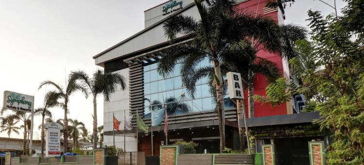 Treebo Symphony 酒店和度假村 Angamally(Treebo Symphony Hotels and Resorts Angamally)图片