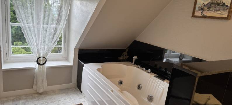 拉梅蒂埃城堡酒店(Chateau la Rametiere)图片