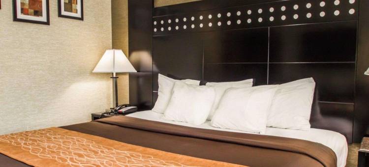 布朗克斯动物园罗德威旅馆(Rodeway Inn Bronx Zoo)图片