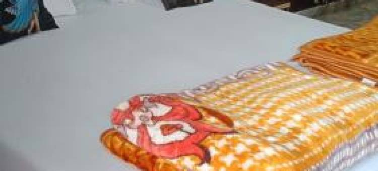 Poonam Mahal酒店(Hotel Poonam Mahal)图片