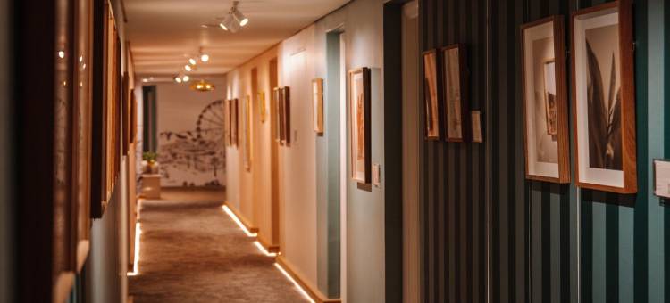 总统酒店(President Hotel Cape Town)图片