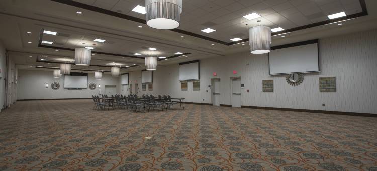 希尔顿花园旅馆-波林布鲁克 I 55(Hilton Garden Inn Bolingbrook)图片