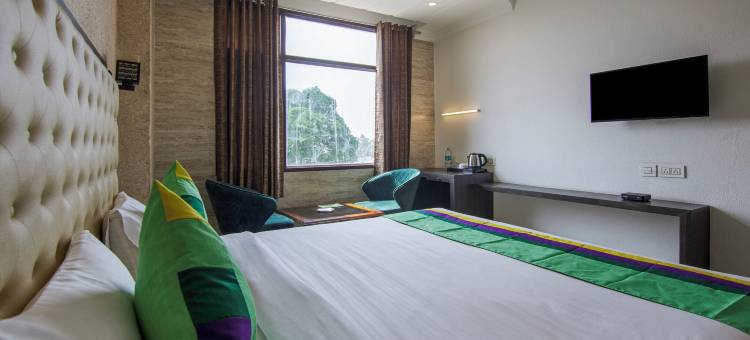 Treebo 特里内塔国际酒店(Treebo Trinetar International)图片