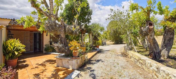 马略卡岛配有私人泳池&景观的乡村别墅(Finca in Mallorca with Private Pool & Views)图片
