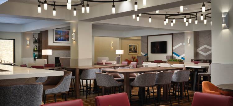 拉斯科琳娜希尔顿花园酒店(Hilton Garden Inn Las Colinas)图片