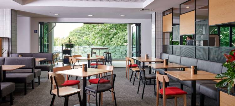 宜必思泰努伊汉密尔顿酒店(Ibis Hamilton Tainui)图片