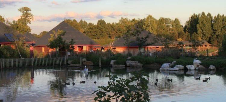 CERZA野生动物园小屋(Cerza Safari Lodge)图片