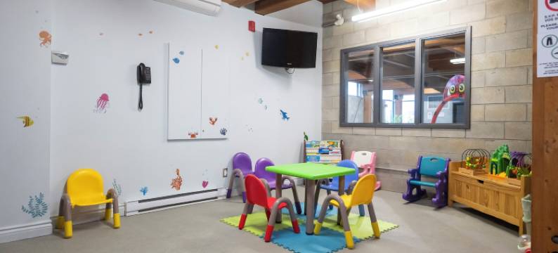 乐多芬魁北克套房和酒店(Hôtel & Suites le Dauphin Québec)图片