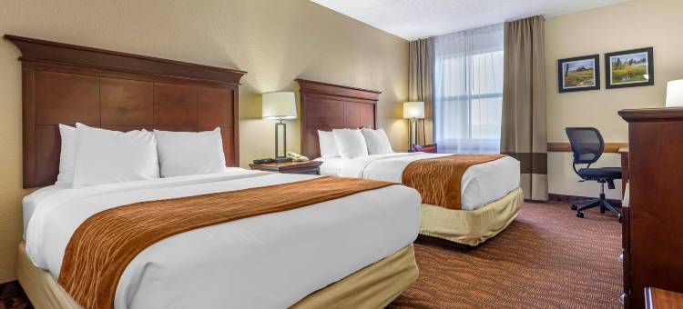 布兰森梅多斯舒适套房酒店(Comfort Inn & Suites Branson Meadows)图片